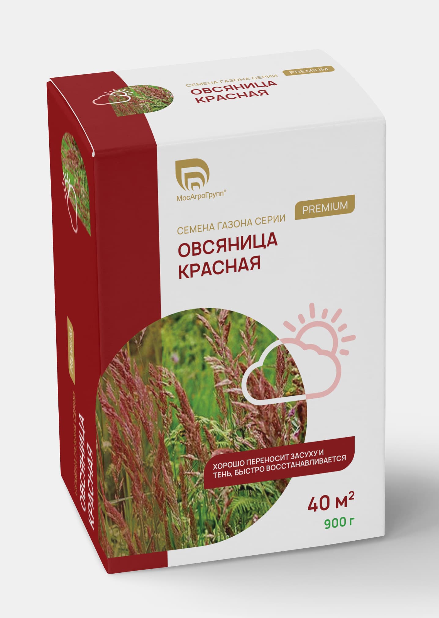 картинка Семена Овсяница Красная Максима1 900гр от магазина Gazon-ka
